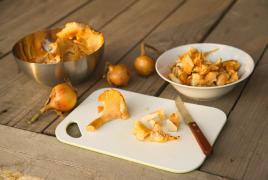 Do you need to boil chanterelles before frying and how to do it correctly?
