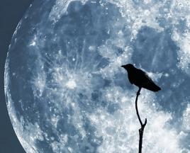 Голубая Луна: чем опасно явление Когда будет следующая голубая луна