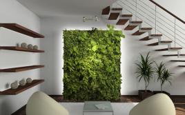 DIY green plant wall