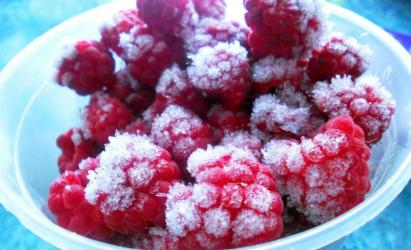 Какие ягоды и овощи можно замораживать на зиму, и как это правильно делать?